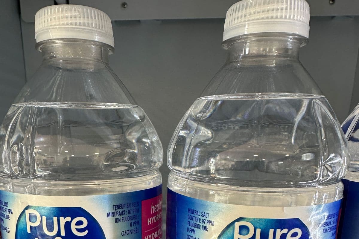 Bottle of Water (500 ml)