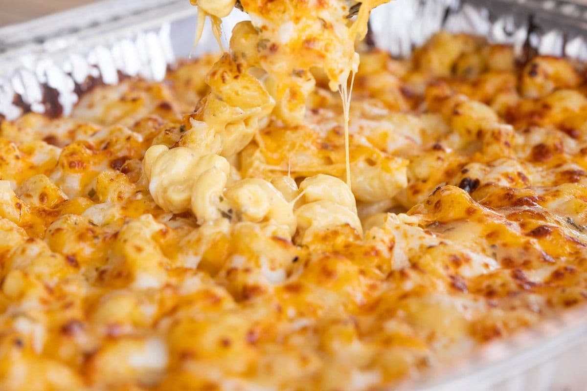 Mac N Cheese Chicken Alfredo