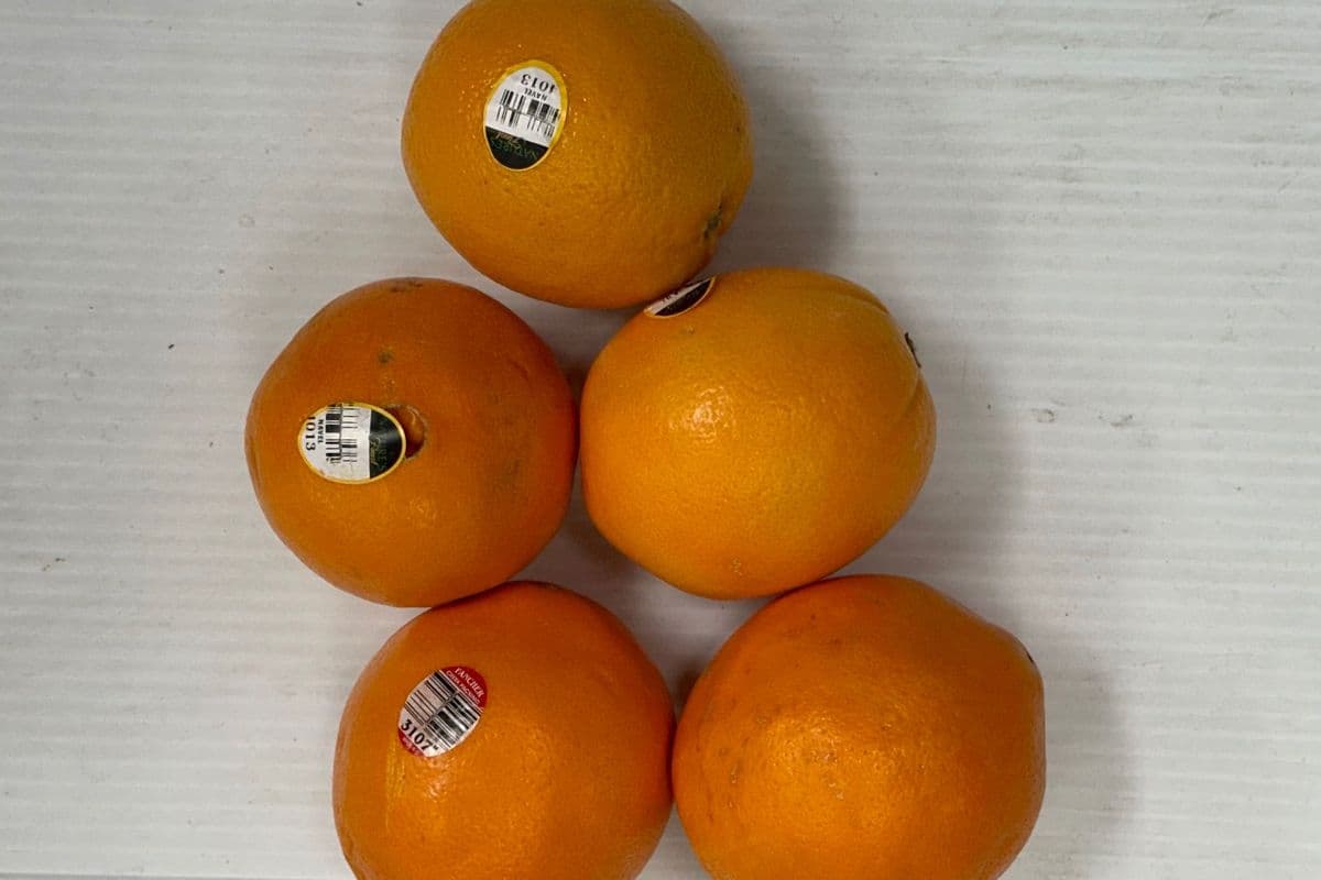 Oranges 2.29/lb (1LB)