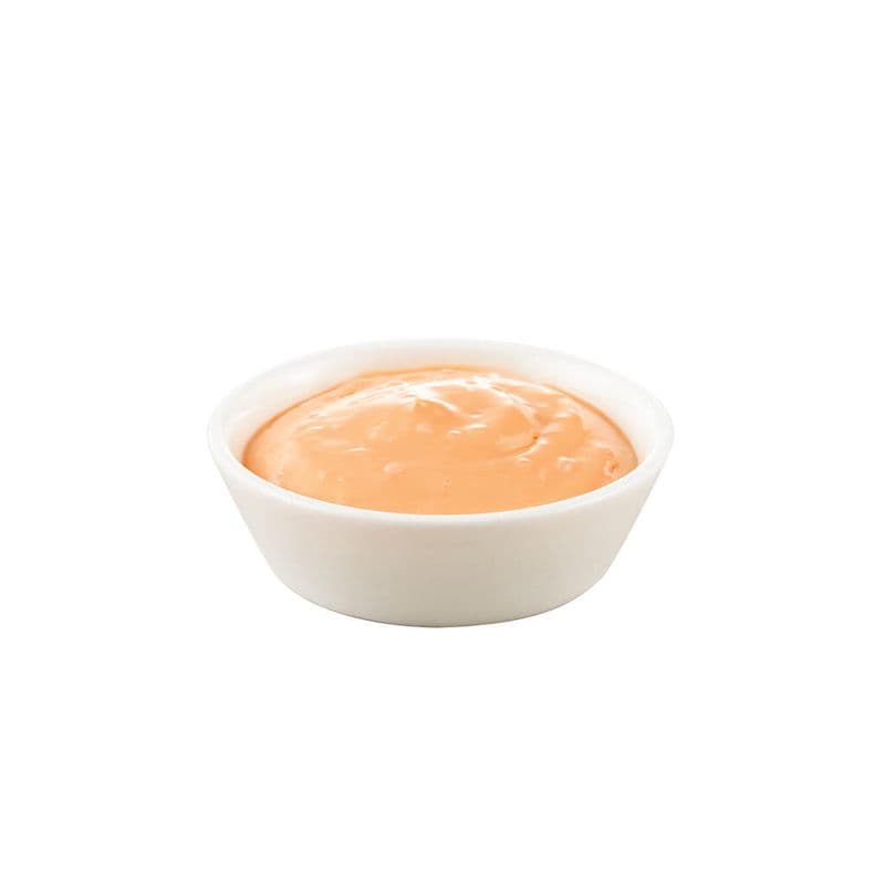 Spicy Light Mayo / Mayo légère épicée