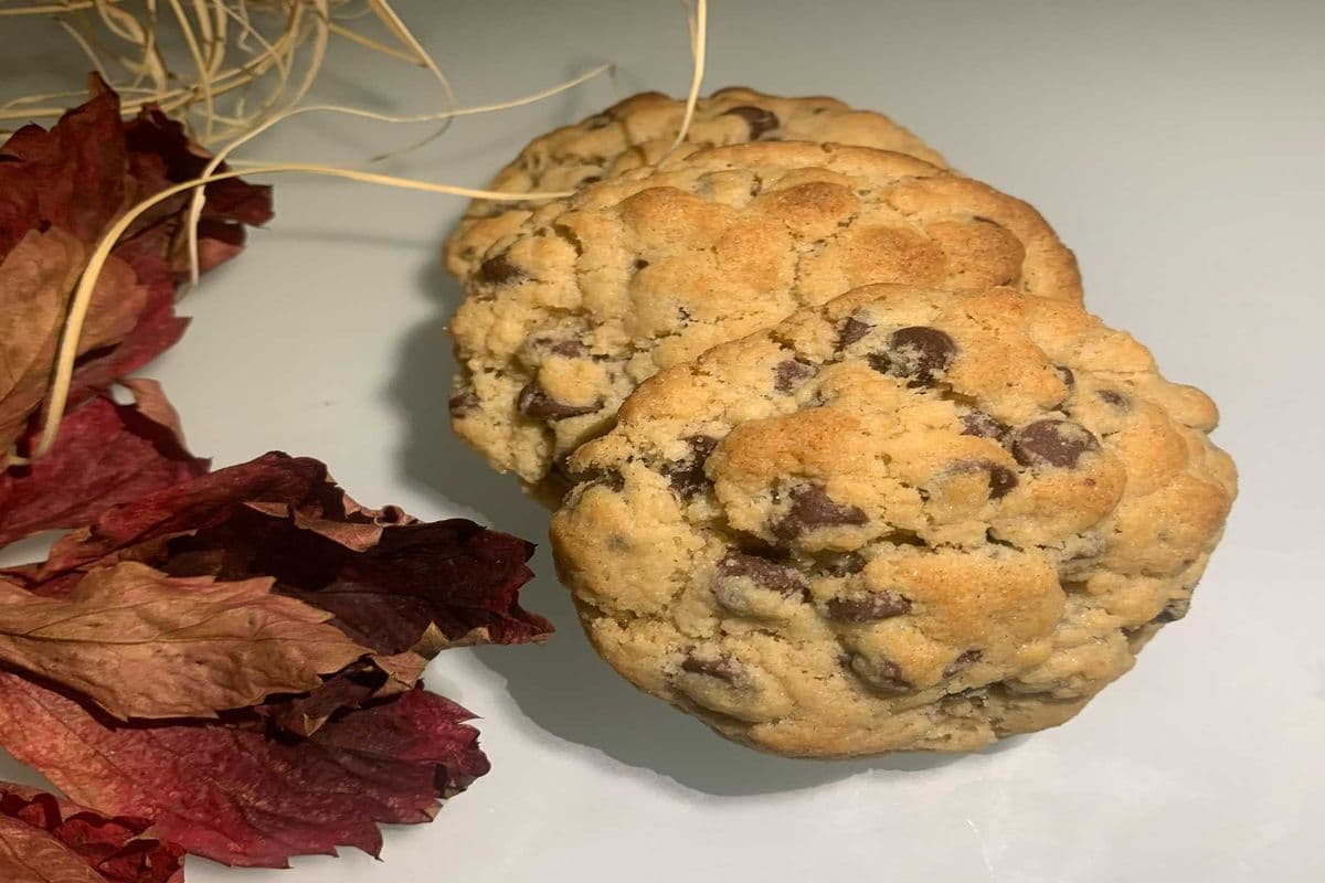 Chocolate Chip Cookie (GF, DF, V)