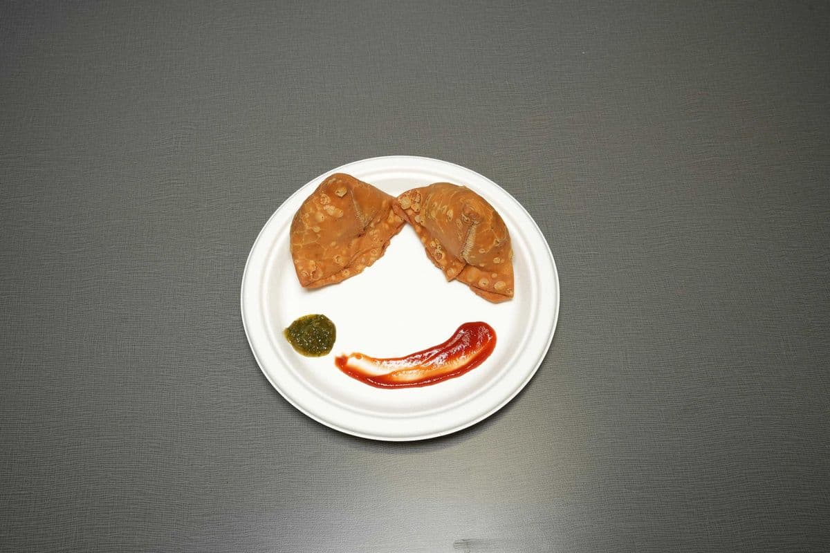 Samosa Large