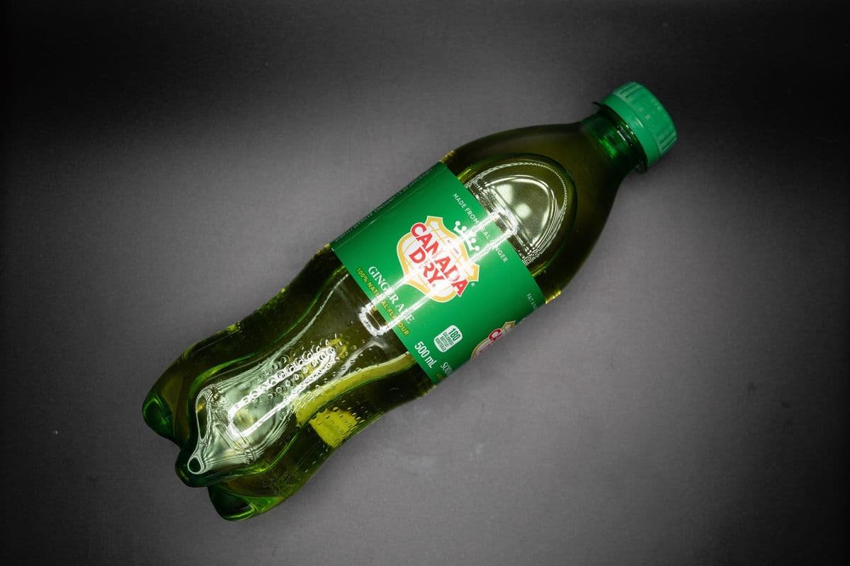 Ginger Ale (500ml)