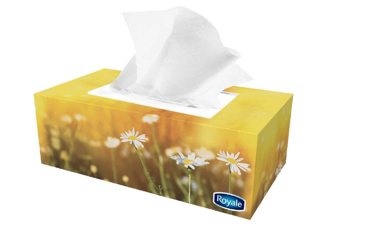 Facial Tissue