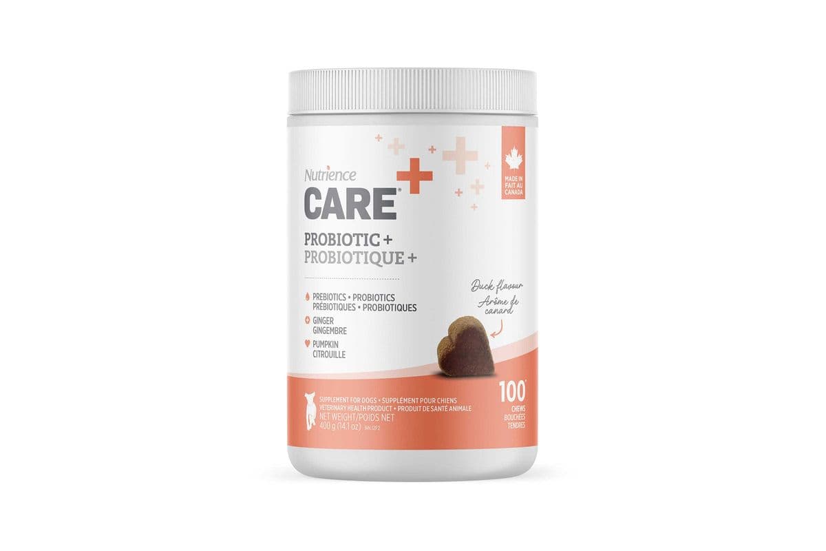 Nutrience Care Supplement for Dogs - Probiotic+ - 100 soft chews - 400 g (400 g )