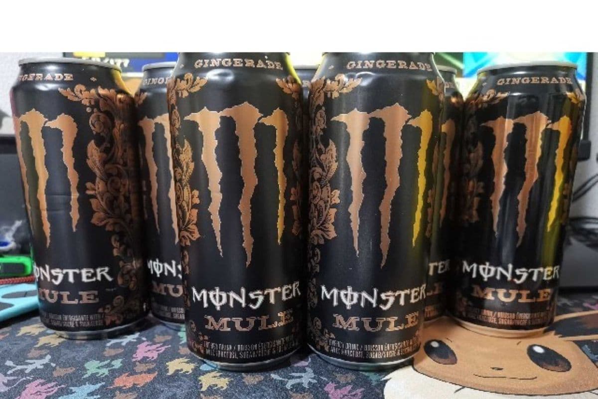 Monster Gingerade (473 ml)