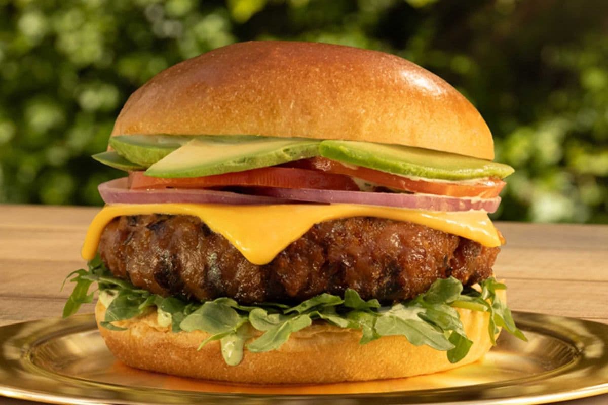 Plant Based Veggie Burger