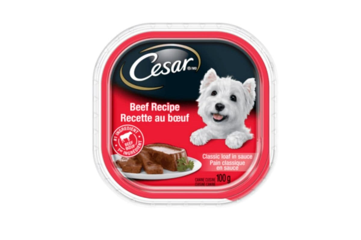Cesar Dog Food Beef Recipe (100g)