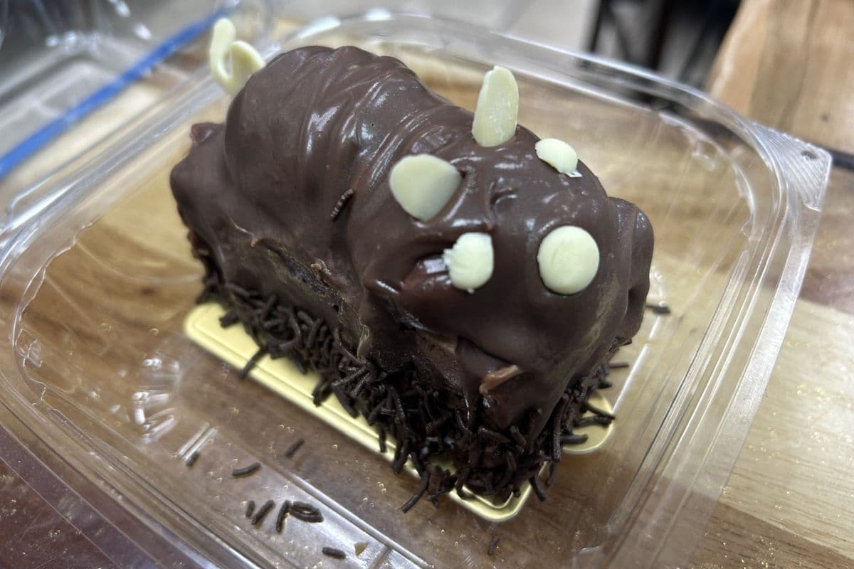 Chocolate Mousse Pontikaki