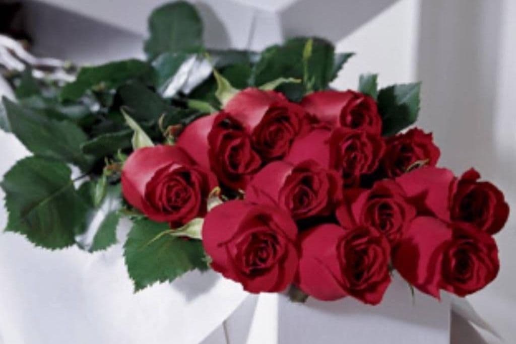Dozen Premium Red Roses Designed In A Classic Box