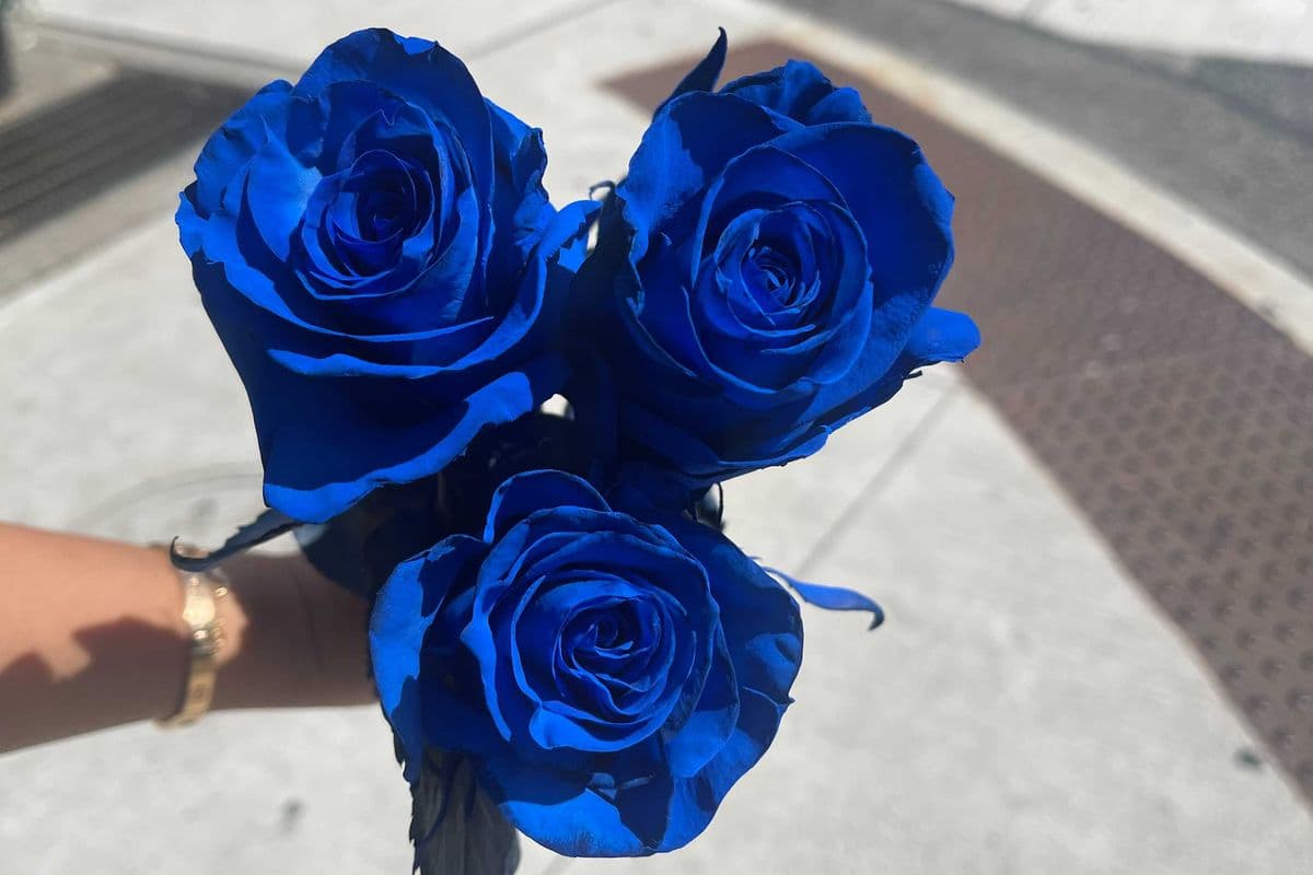 Blue Roses - 3 Stems