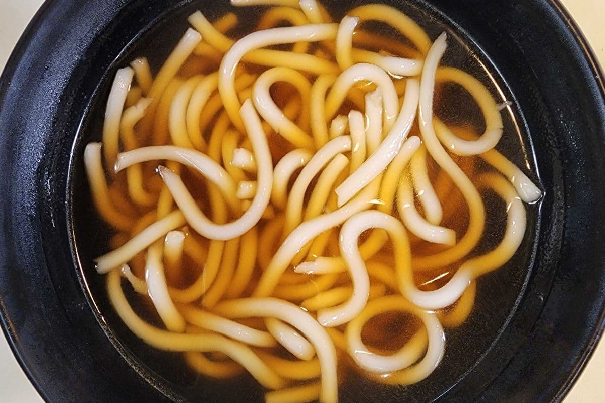 Plain Udon