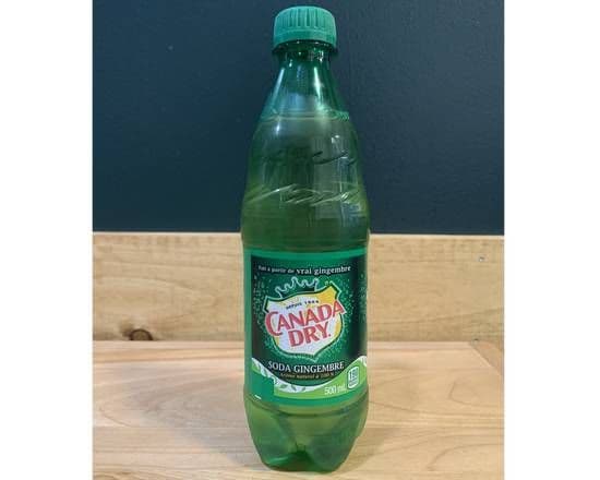 Bottle Gingerale 