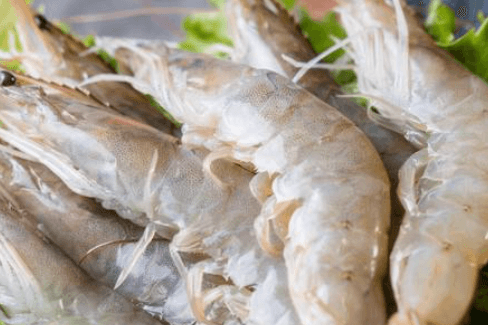 Head-On Shrimp