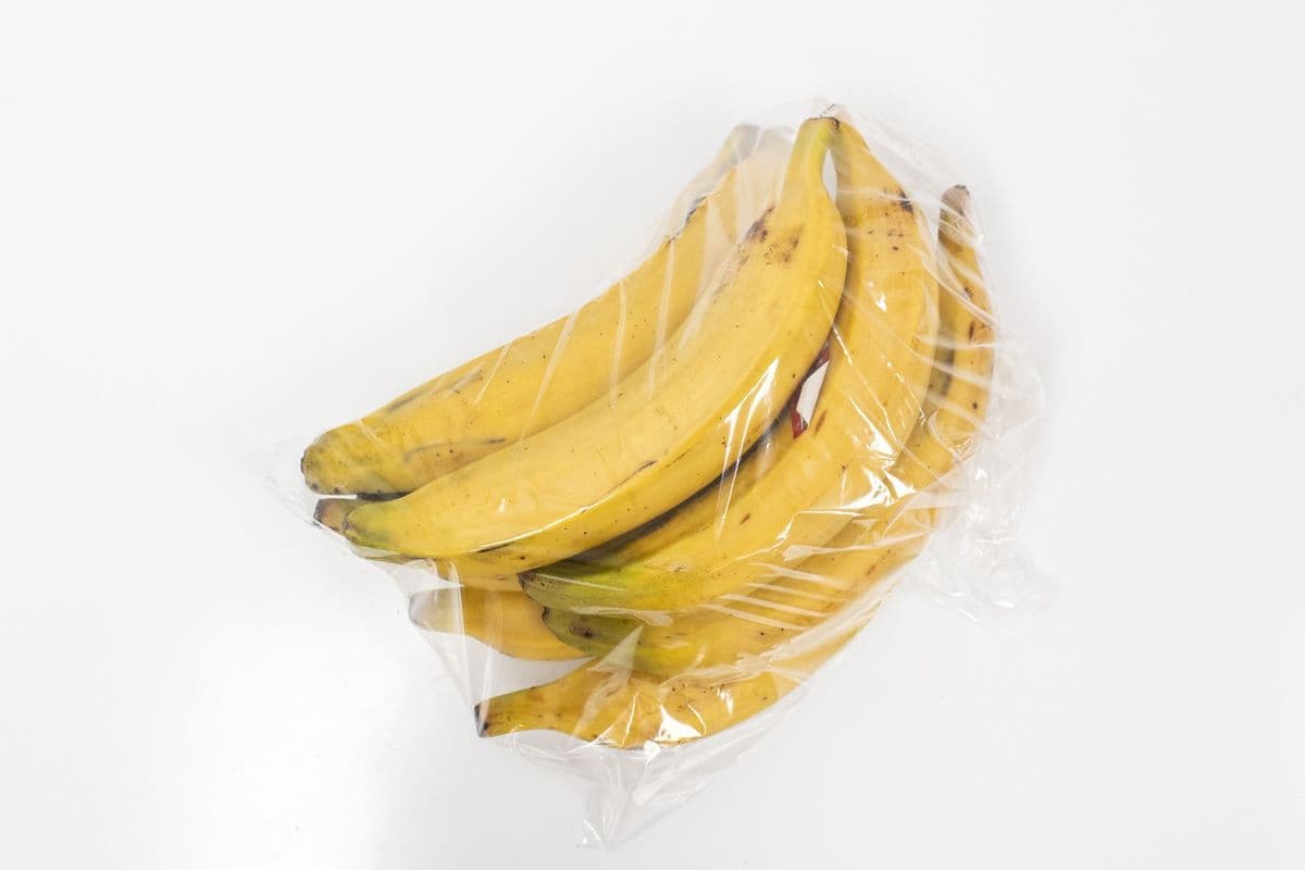 Yellow Plantain