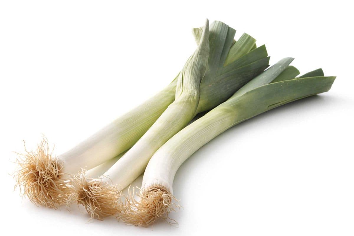 Poireau (1) / Leek (1)