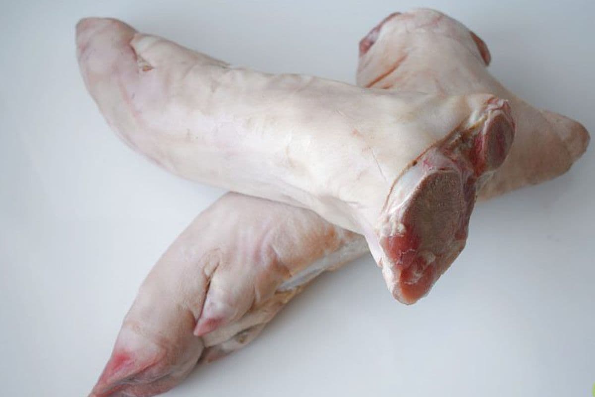 Pig Foot