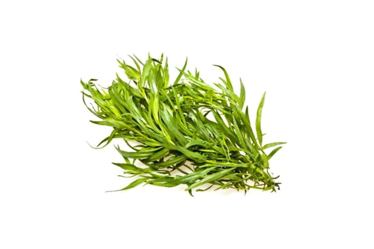 Fresh Bunched Tarragon (Tarkhoon)