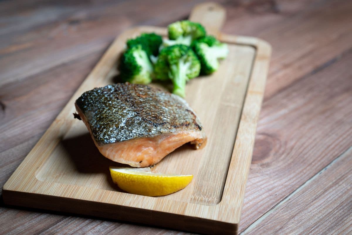 Coho Salmon