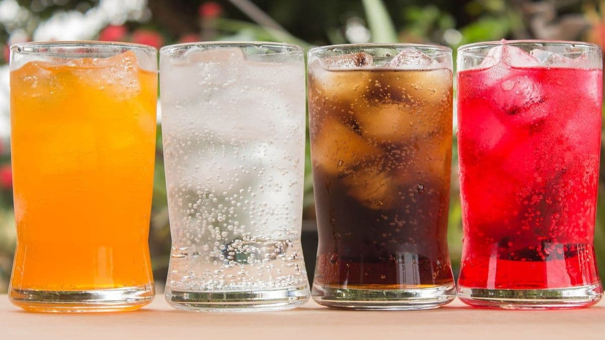 Boissons (froides et chaudes) / Drinks (cold and hot)