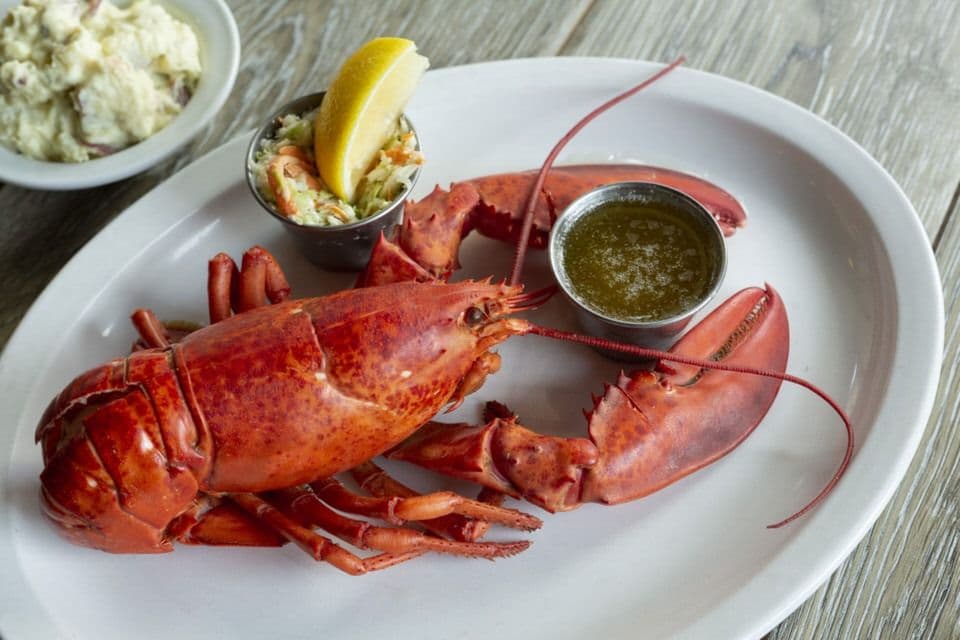 Lobster Dinner