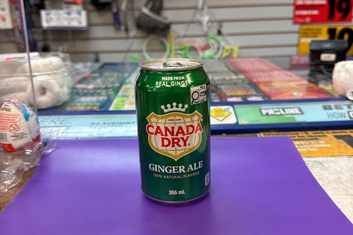 Canada Dry Ginger Ale Can (355 ml)