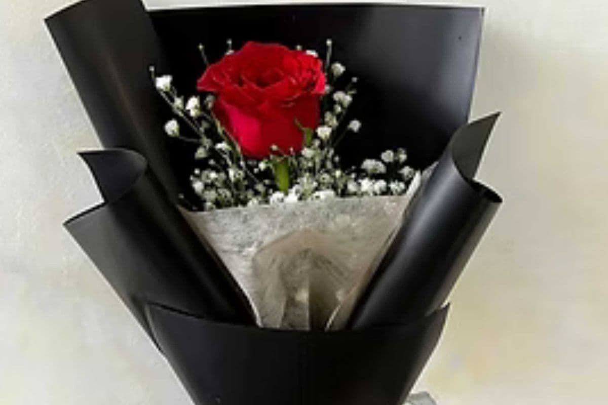 Single Steam Rose