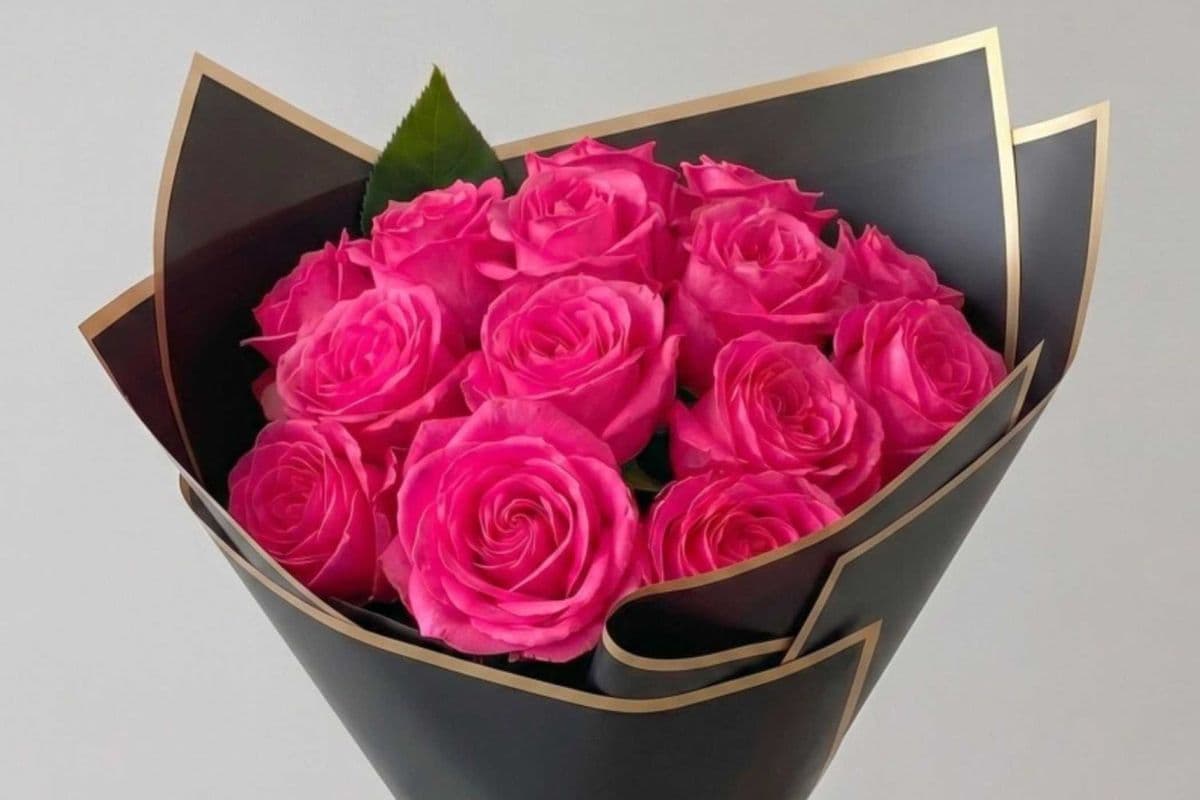 Premium Dozen Roses Special - Hot Pink