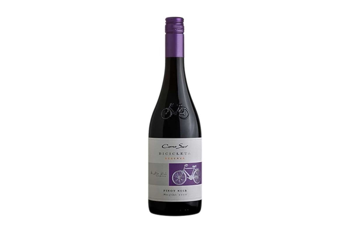 Cono Sur - Pinot Noir (1 x 750 ml)