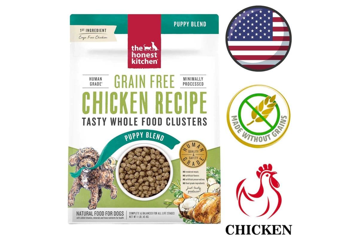 The Honest Kitchen - Grain Free Whole Food Clusters Chicken Puppy Dog Food - 1 lb