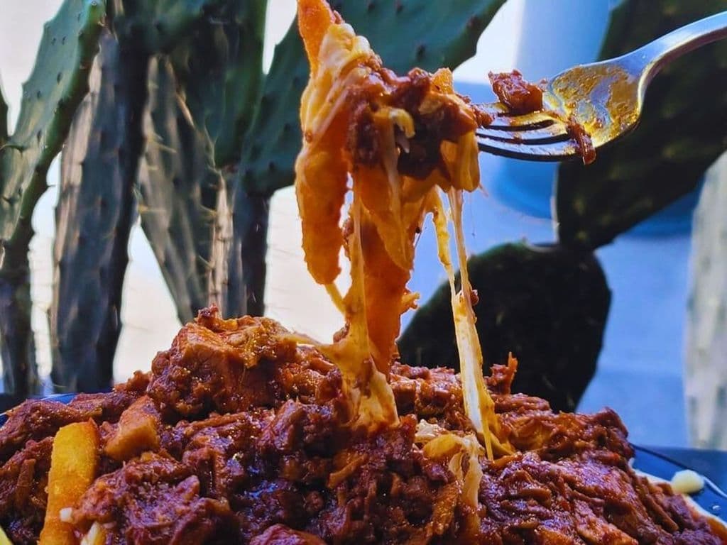 BIRRIA POUTINE - halal
