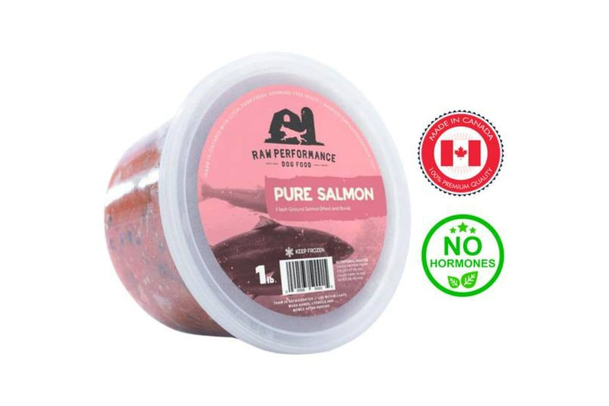 Raw Performance - Pure Salmon Raw Dog Food (1 lb)
