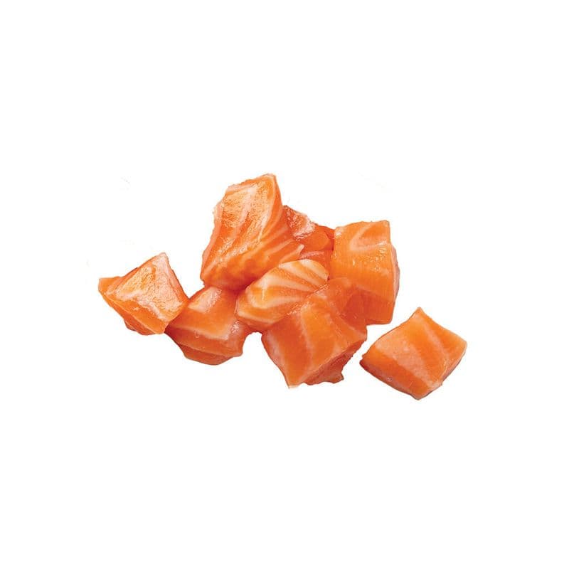 Salmon / Saumon