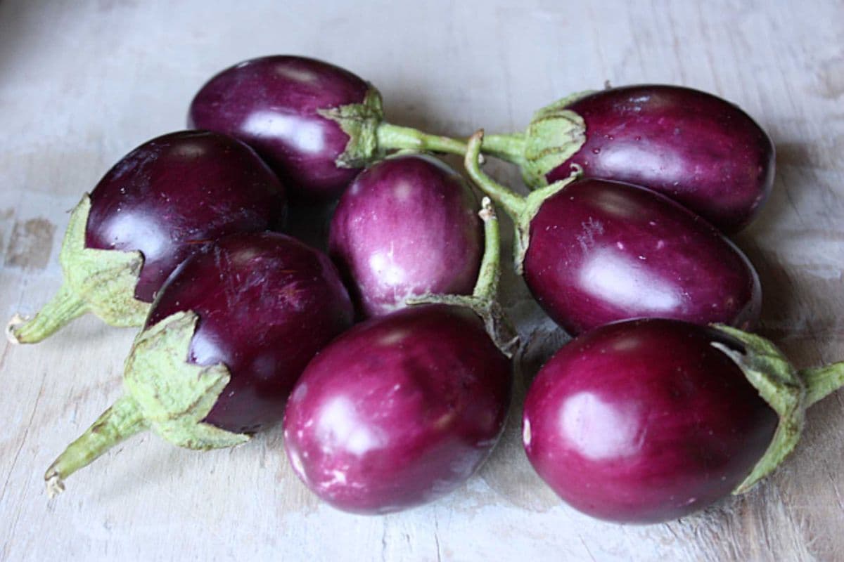 Fresh Indian Eggplant (1 lb)