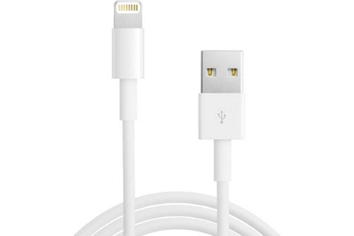 Cable de Chargeur Rapide Apple Fast Charger Cable