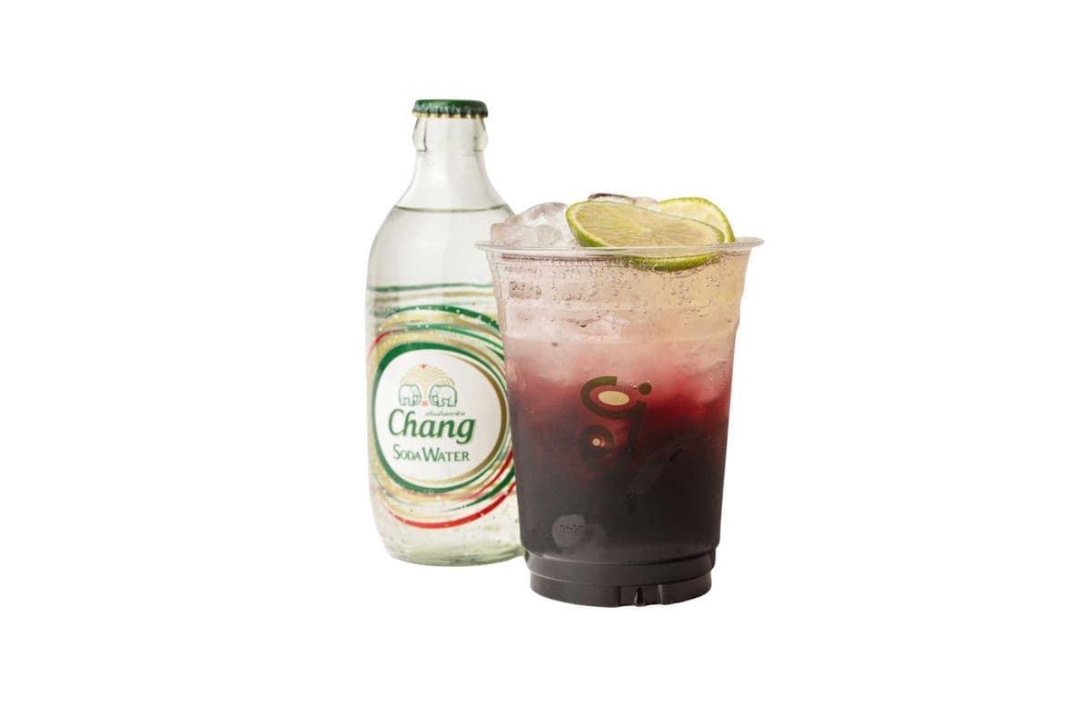 F1. Ribena Sparkling Soda