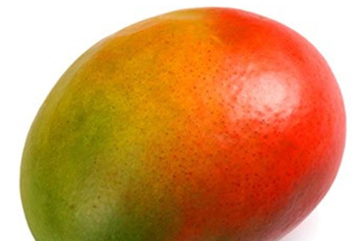 Mangue/ Mango (1)