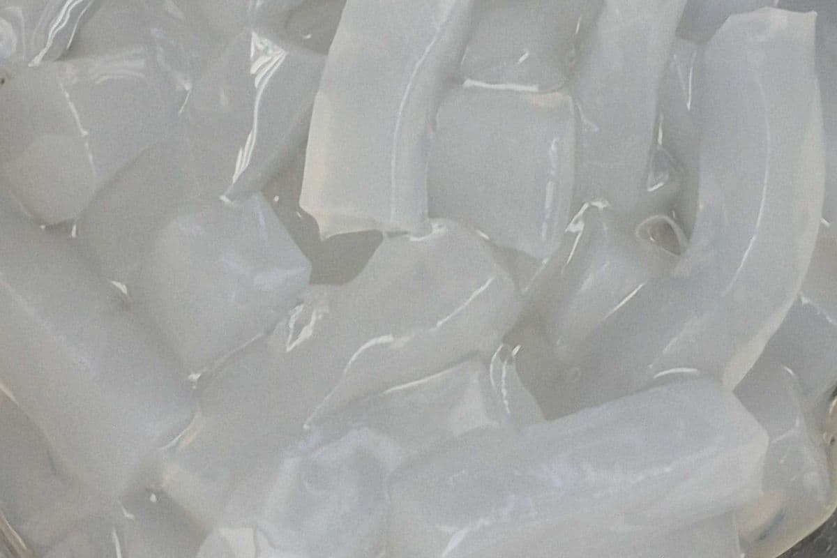 Coconut Jelly