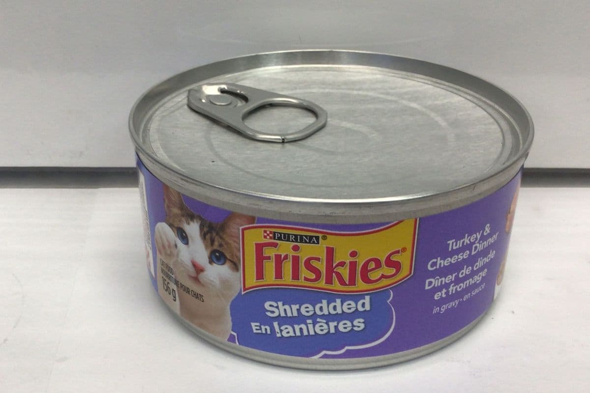 Friskies Turkey and Cheese (156 g)