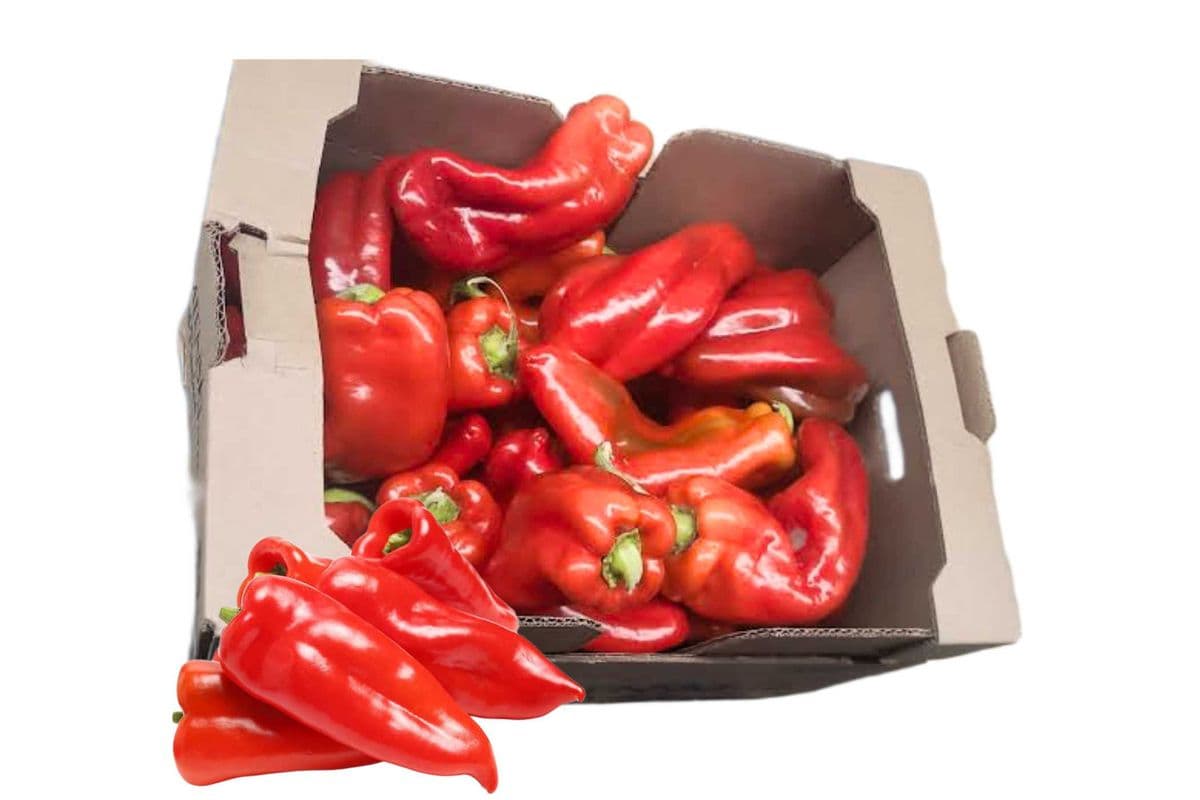 Shepherd Pepper Box