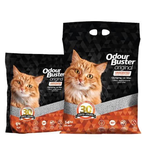 Intersand Odour Buster Litter
