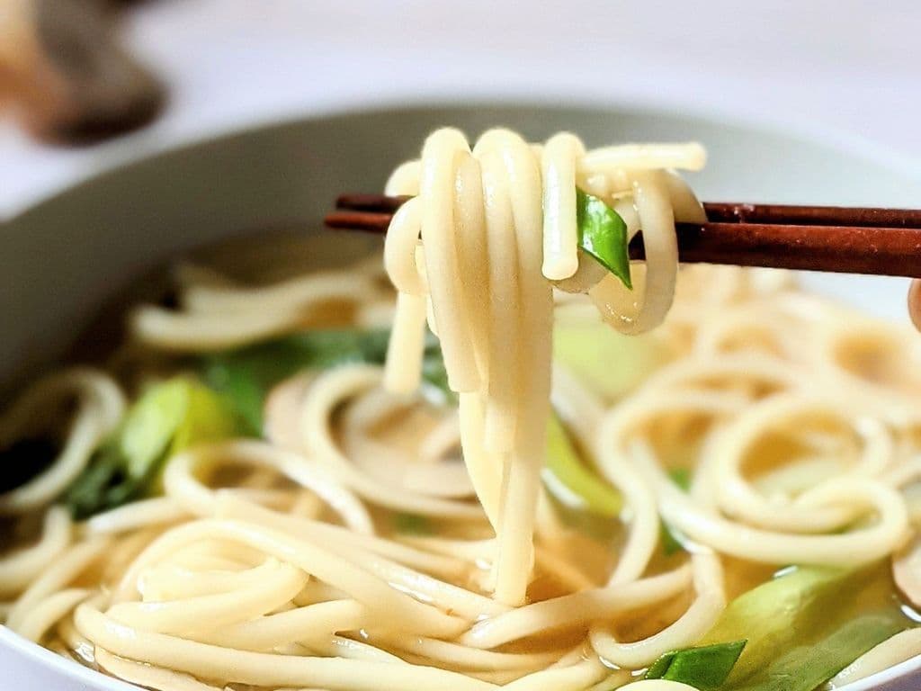 Vegetable Udon Soup