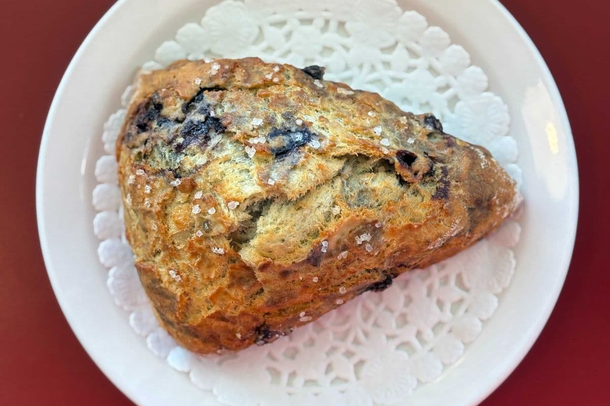 Rocket's Scone of the Day
