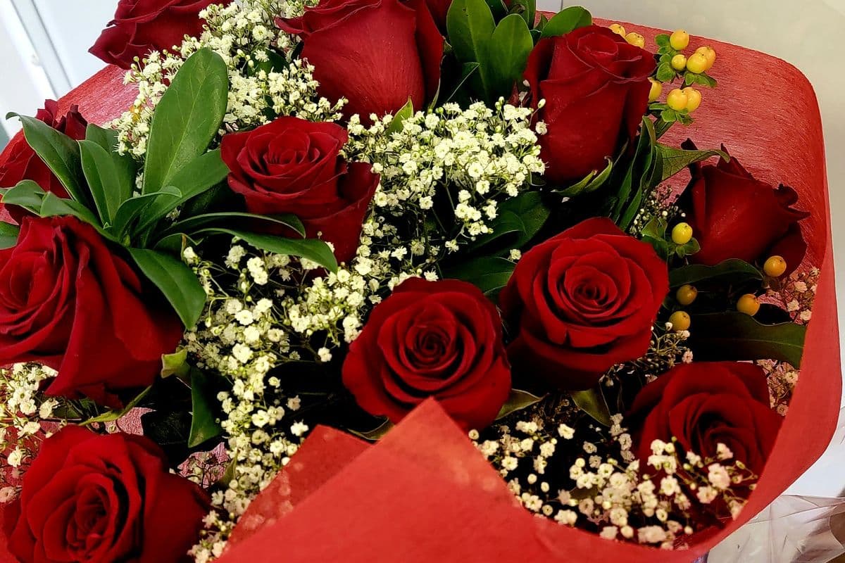 Dozen Roses