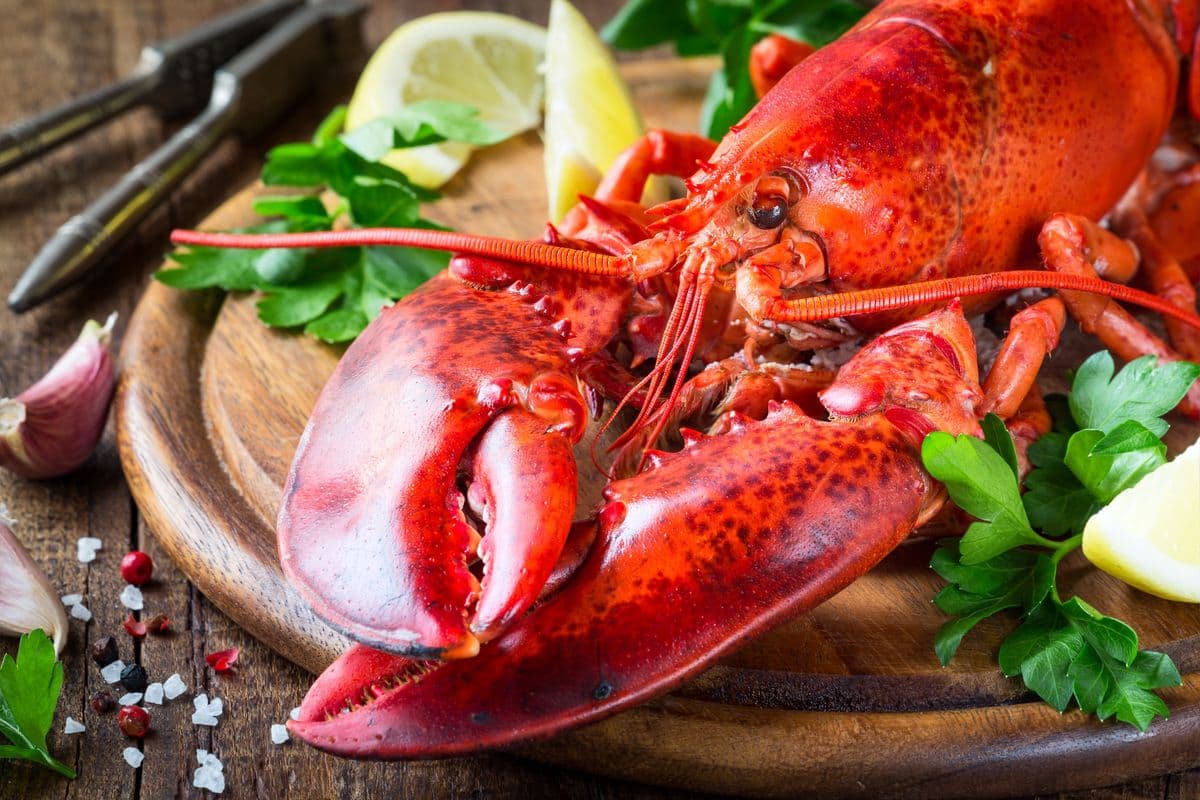 Lobster (1.5 lb) Seasonal
