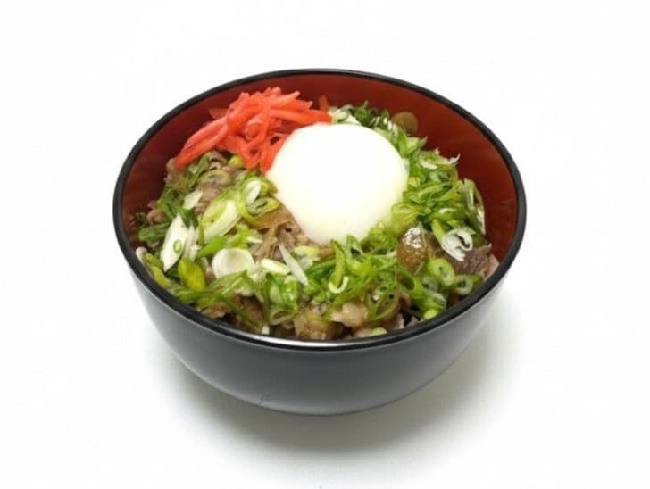 Negi Gyudon ねぎ牛丼