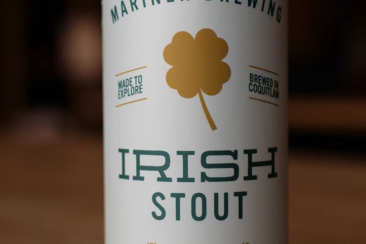 Single Irish Stout 4.8%/473ml (1 x 473)