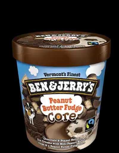 Ben & Jerry's Core Peanut Butter Fudge 