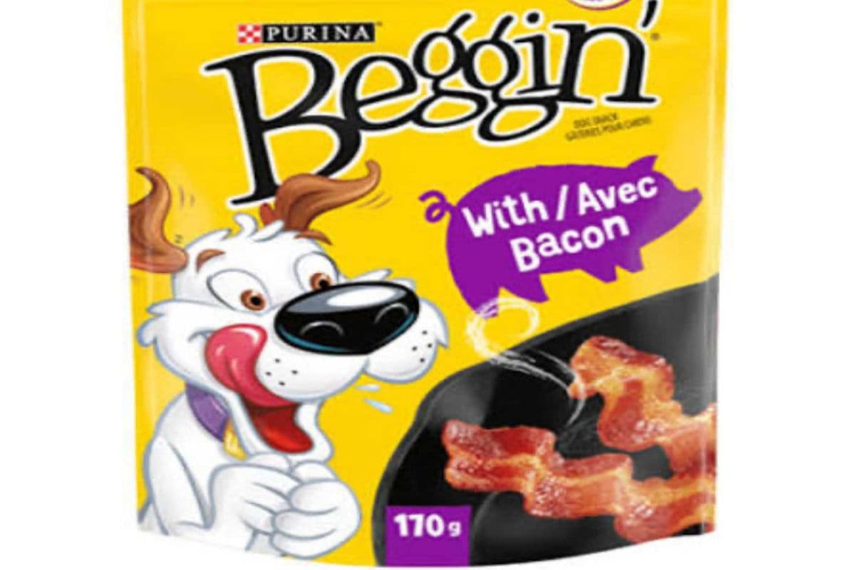 Purina Beggin - Beef Flavor with Bacon Treats