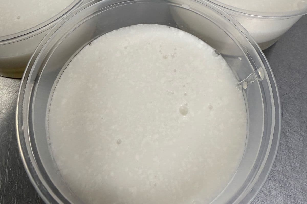 DJ7. Coconut Jelly (10oz)